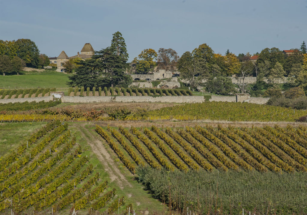 coteaux-du-lyonnais-